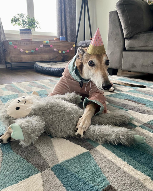 Happy Birthday, Kylie