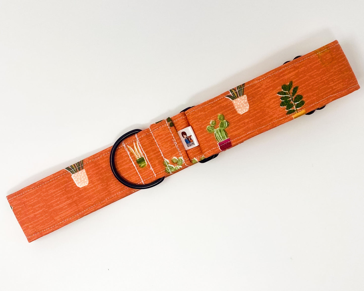 Martingale Collar | Orange with Succulents