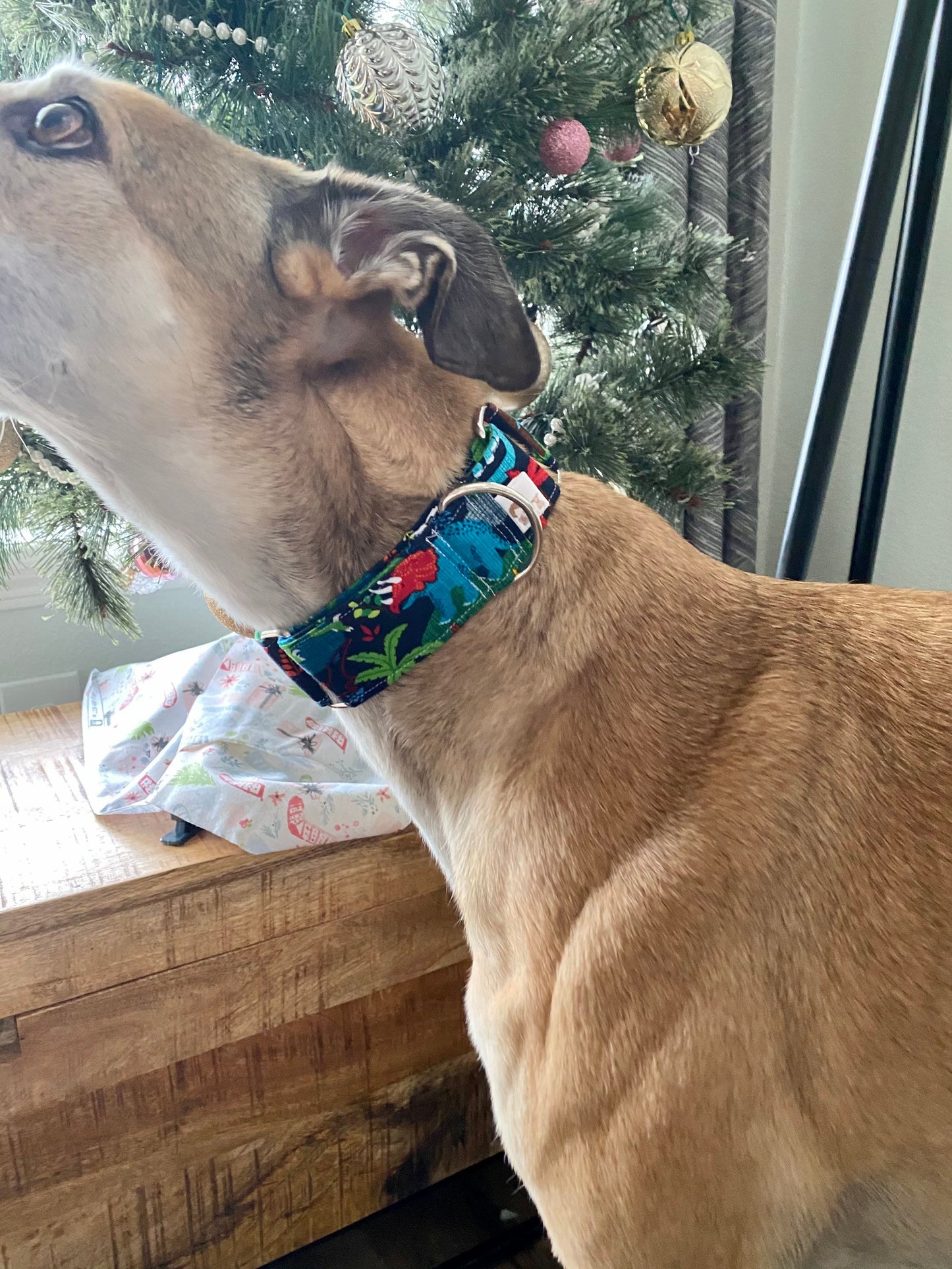 Martingale Collar | Blue and Green Dinosaurs