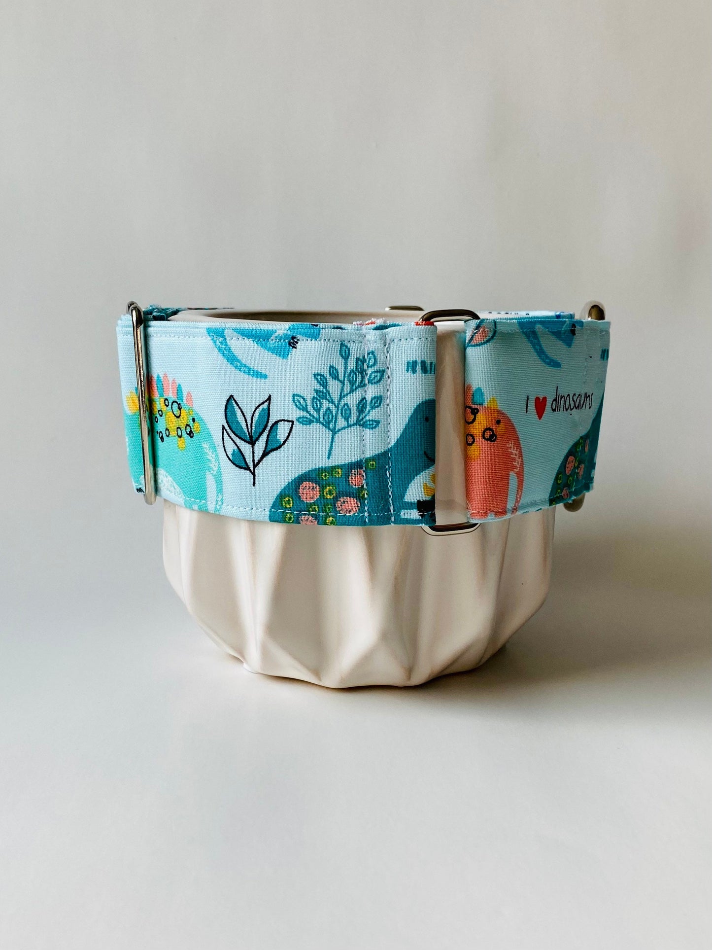 Martingale Collar | Cute Dinosaurs