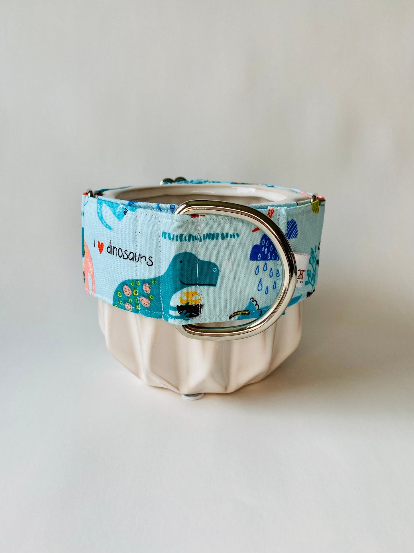 Martingale Collar | Cute Dinosaurs
