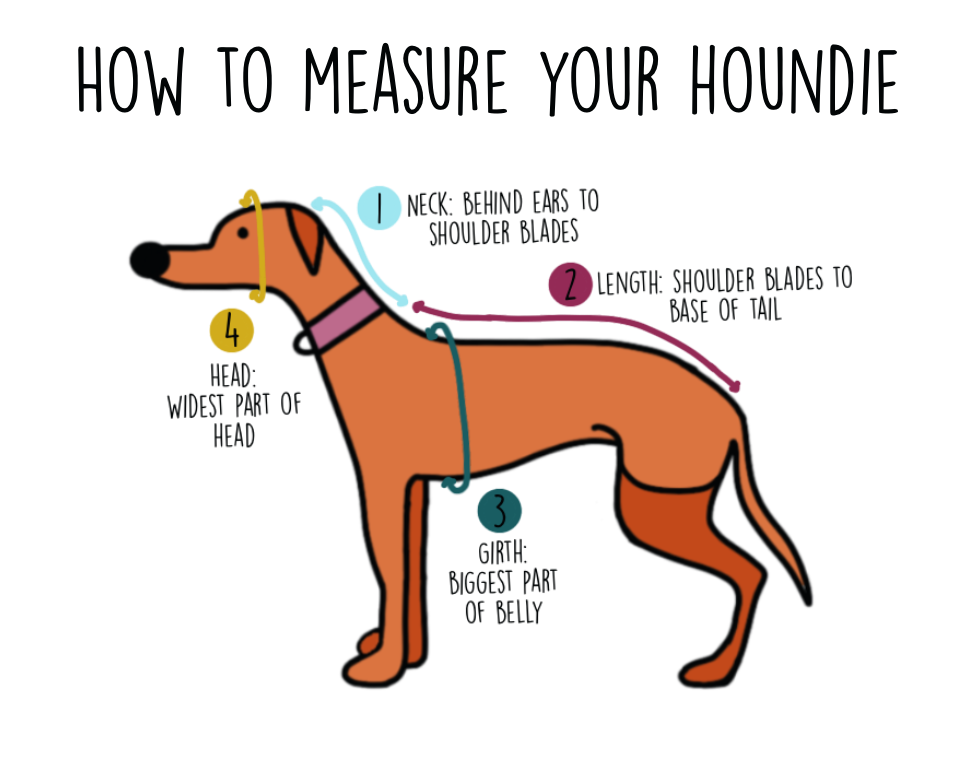 Greyhound Fleece Winter Coat | Boho Green Floral with Mustard Yellow Lining