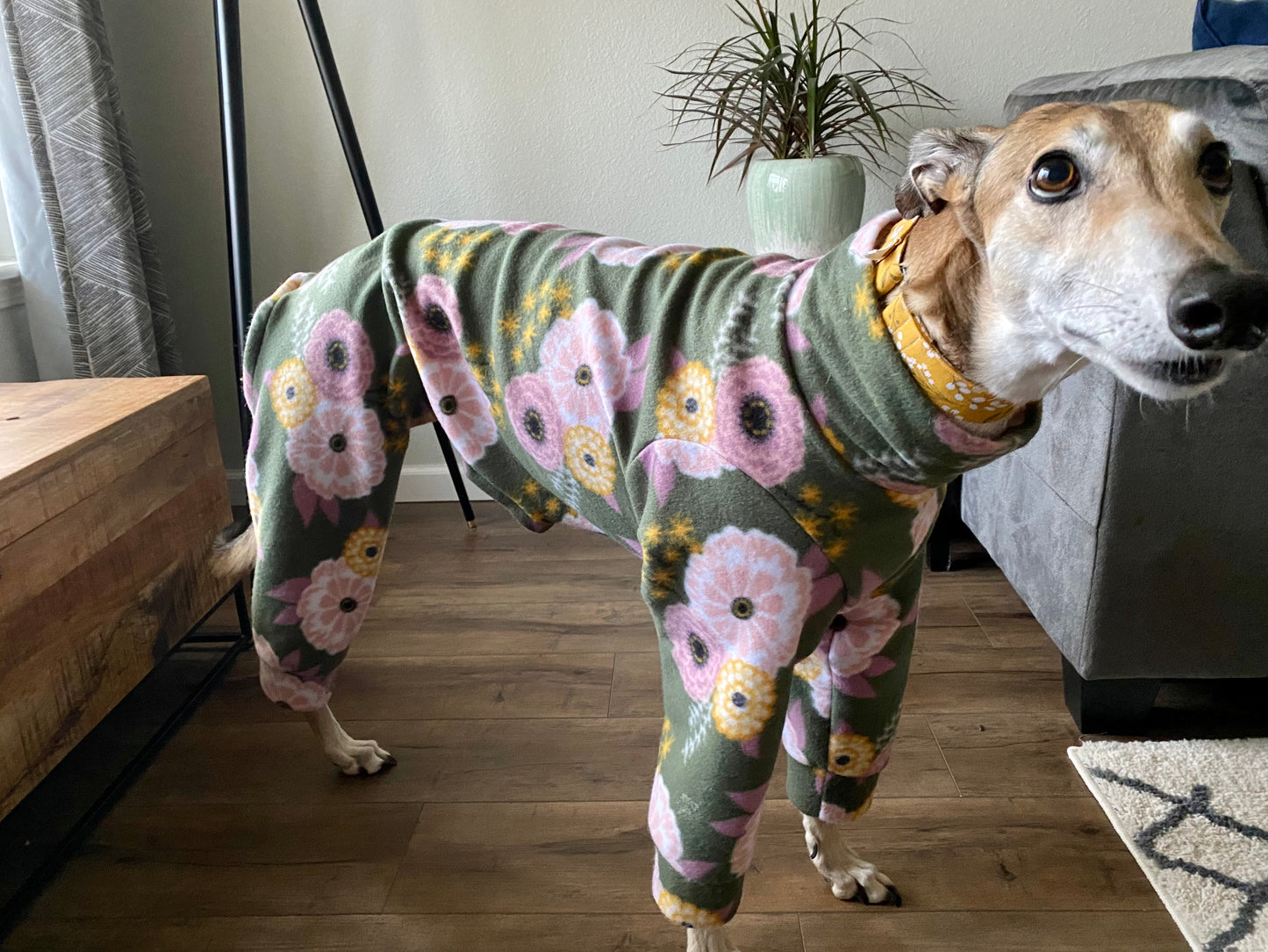 Fleece Greyhound Pajamas | Green Boho Floral