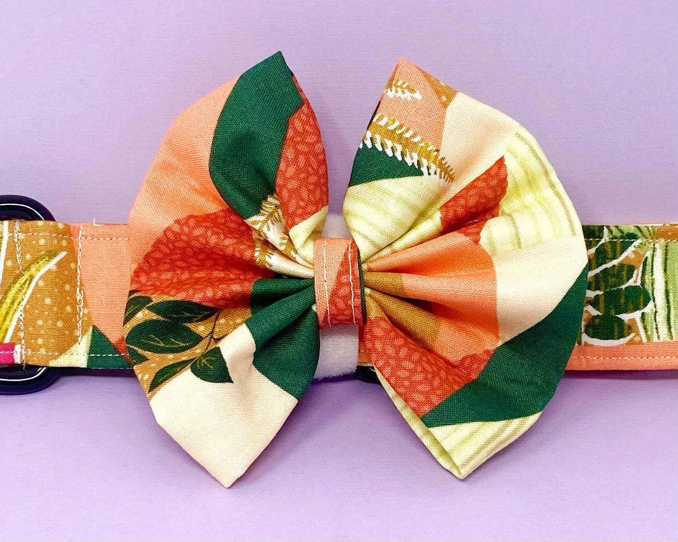 Collar Bow | Pink and Green Boho Plants