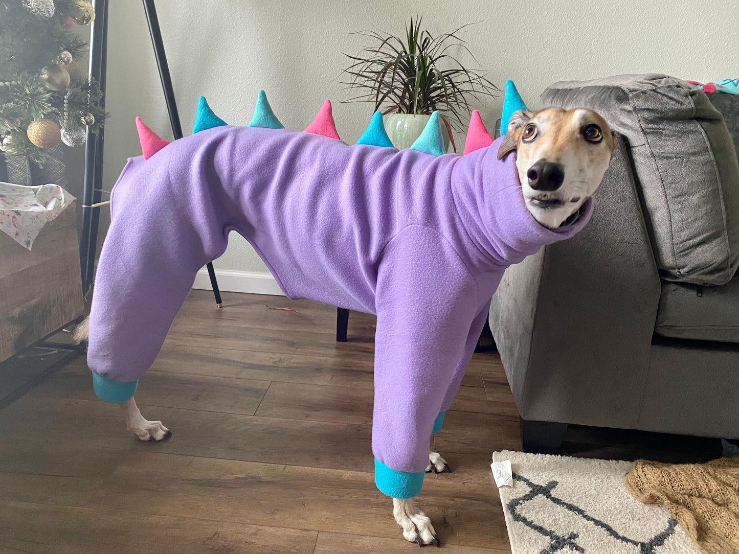 Made To Order | Fleece Pajamas | Dino Jammies