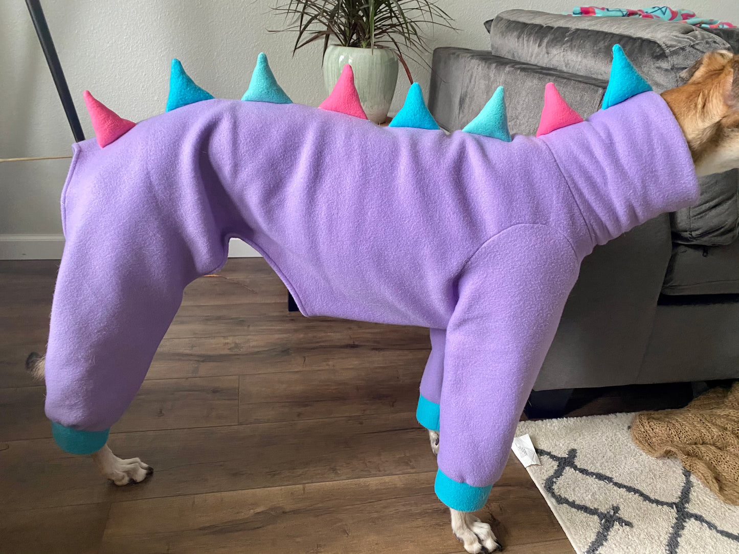 Made To Order | Fleece Pajamas | Dino Jammies
