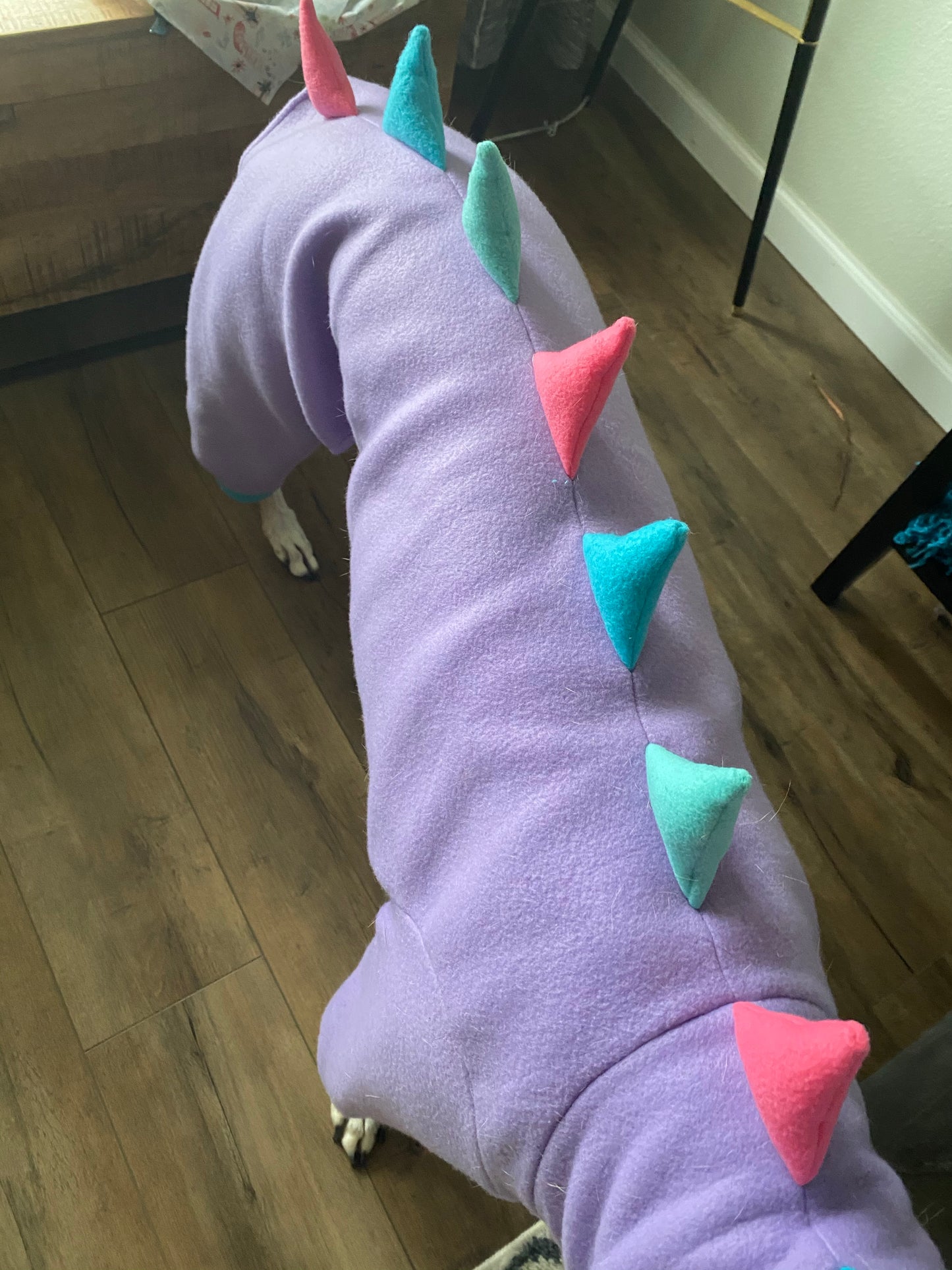 Made To Order | Fleece Pajamas | Dino Jammies
