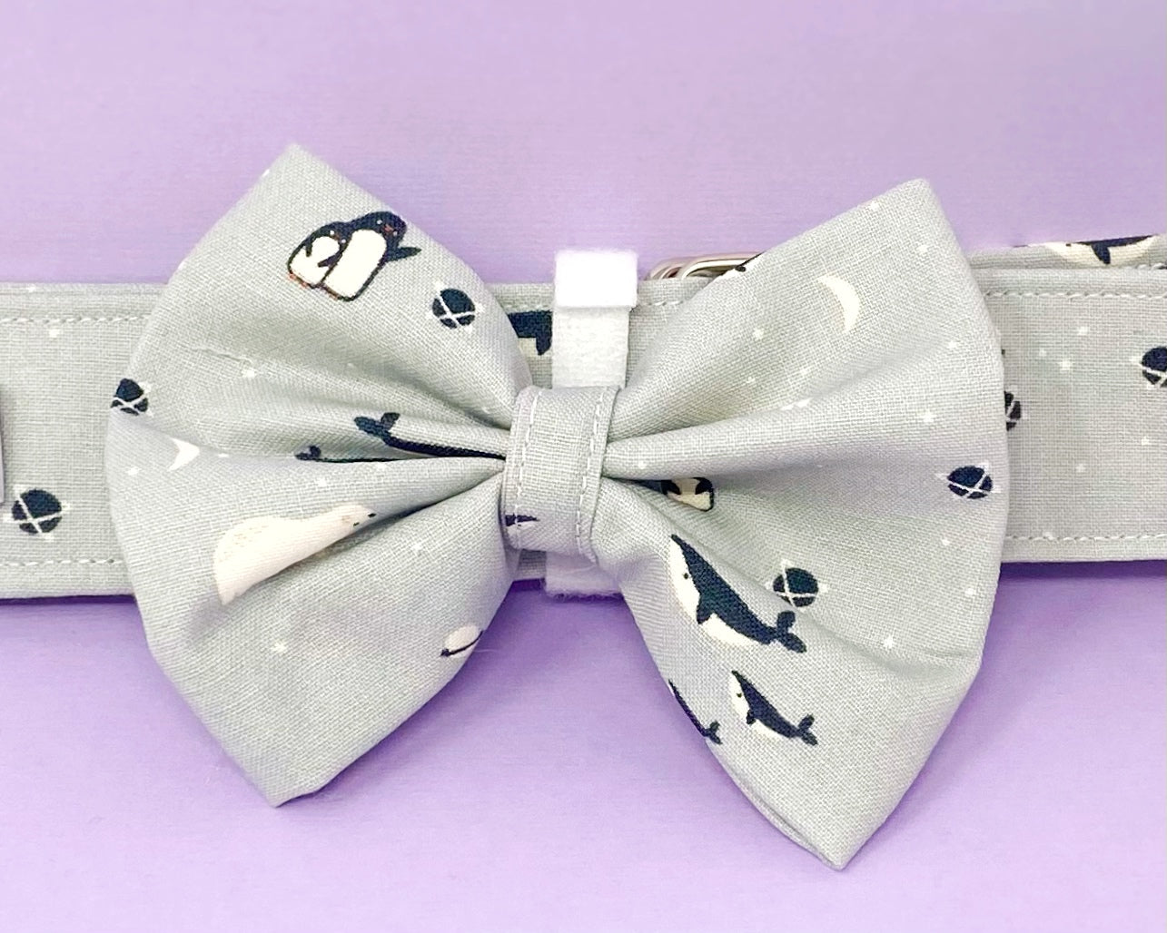 Collar Bow | Arctic Animals