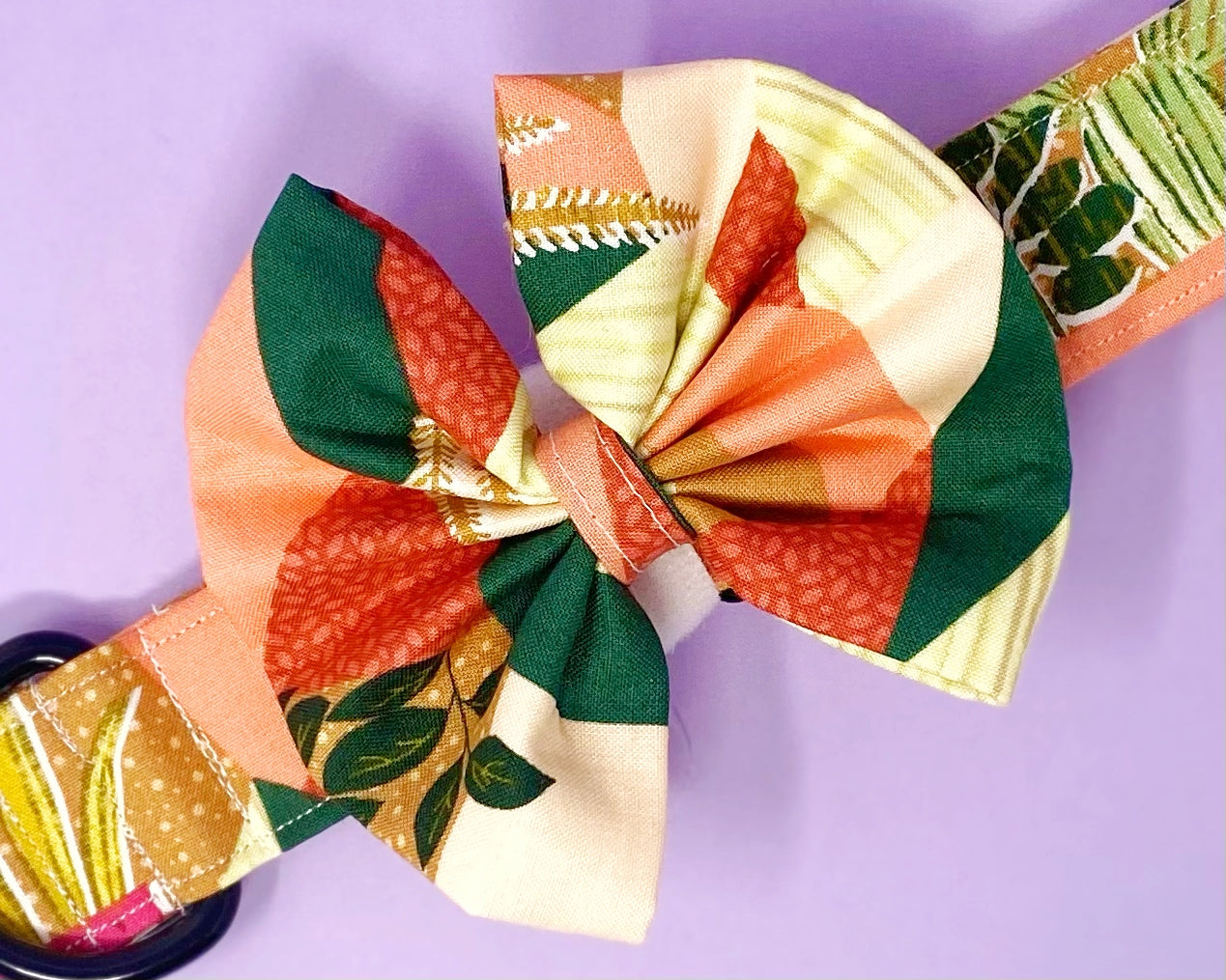 Collar Bow | Pink and Green Boho Plants