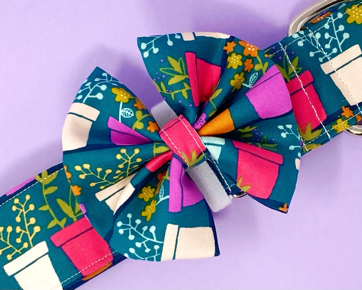 Collar Bow | Flower Pots
