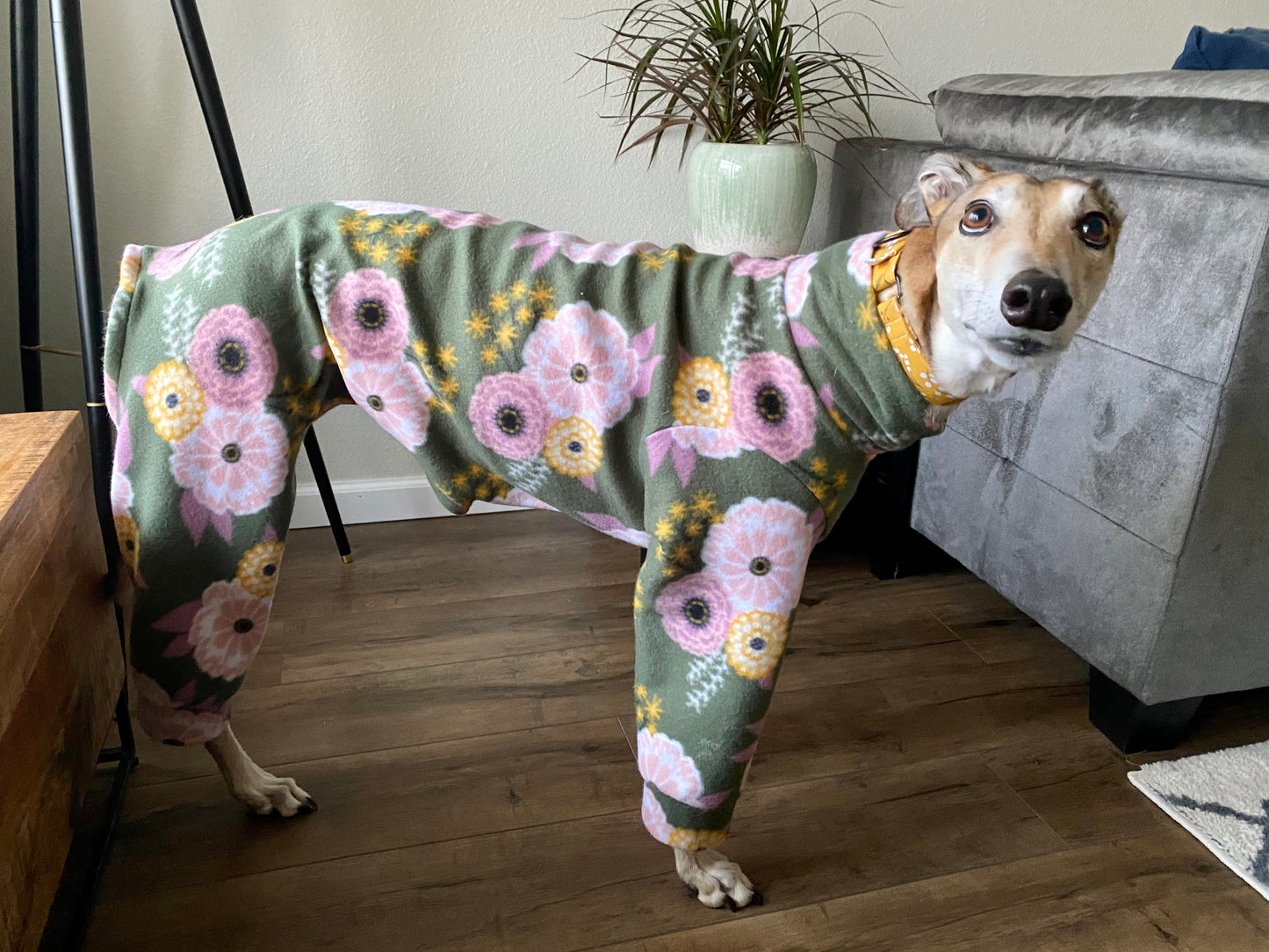 Fleece Greyhound Pajamas | Green Boho Floral