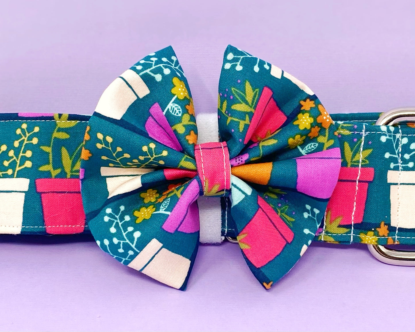 Collar Bow | Flower Pots
