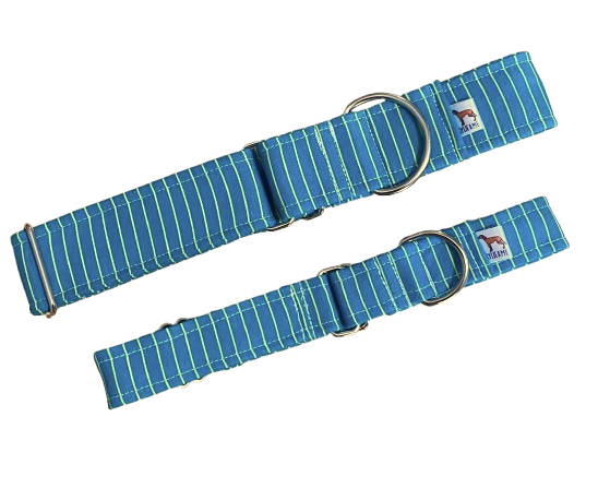 Martingale Collar | Blue Stripes