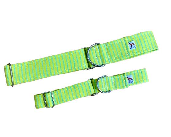 Martingale Collar | Green Stripes