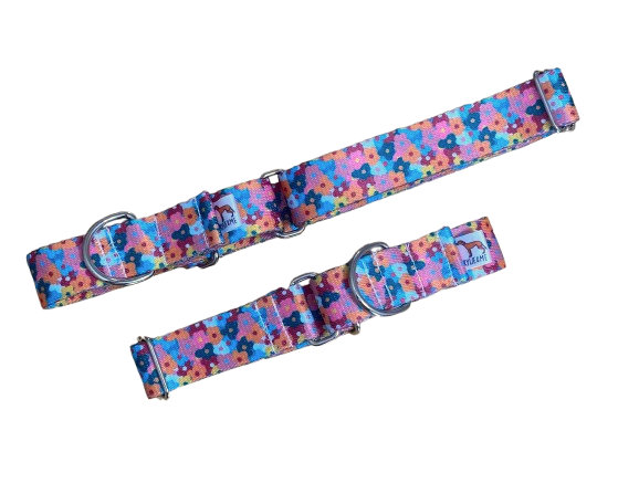 Martingale Collar | Kylie & Me Floral Webbing