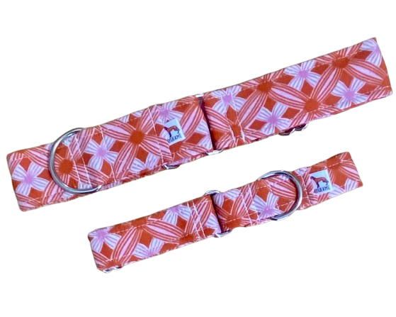 Martingale Collar | Orange and Pink Floral