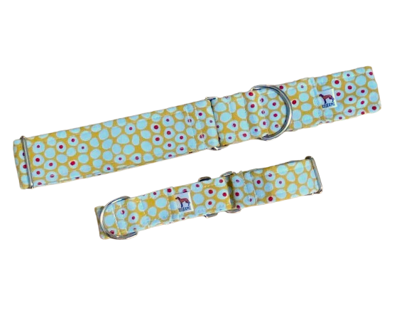 Martingale Collar | Yellow with Dots