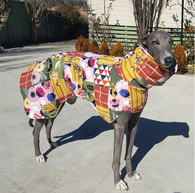 MeUndies Launches Matching Dog-Friendly Clothing LineHelloGiggles
