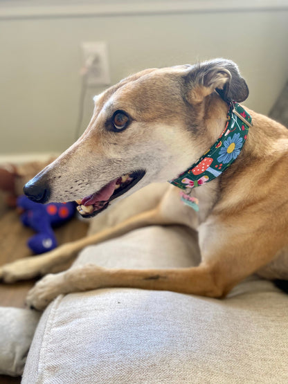 Martingale Collar | Green with Fairy Forest Flowers and Mushrooms