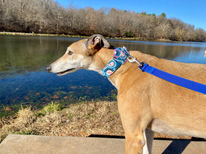 Martingale Collar | Blue and Pink Floral Geometric Print