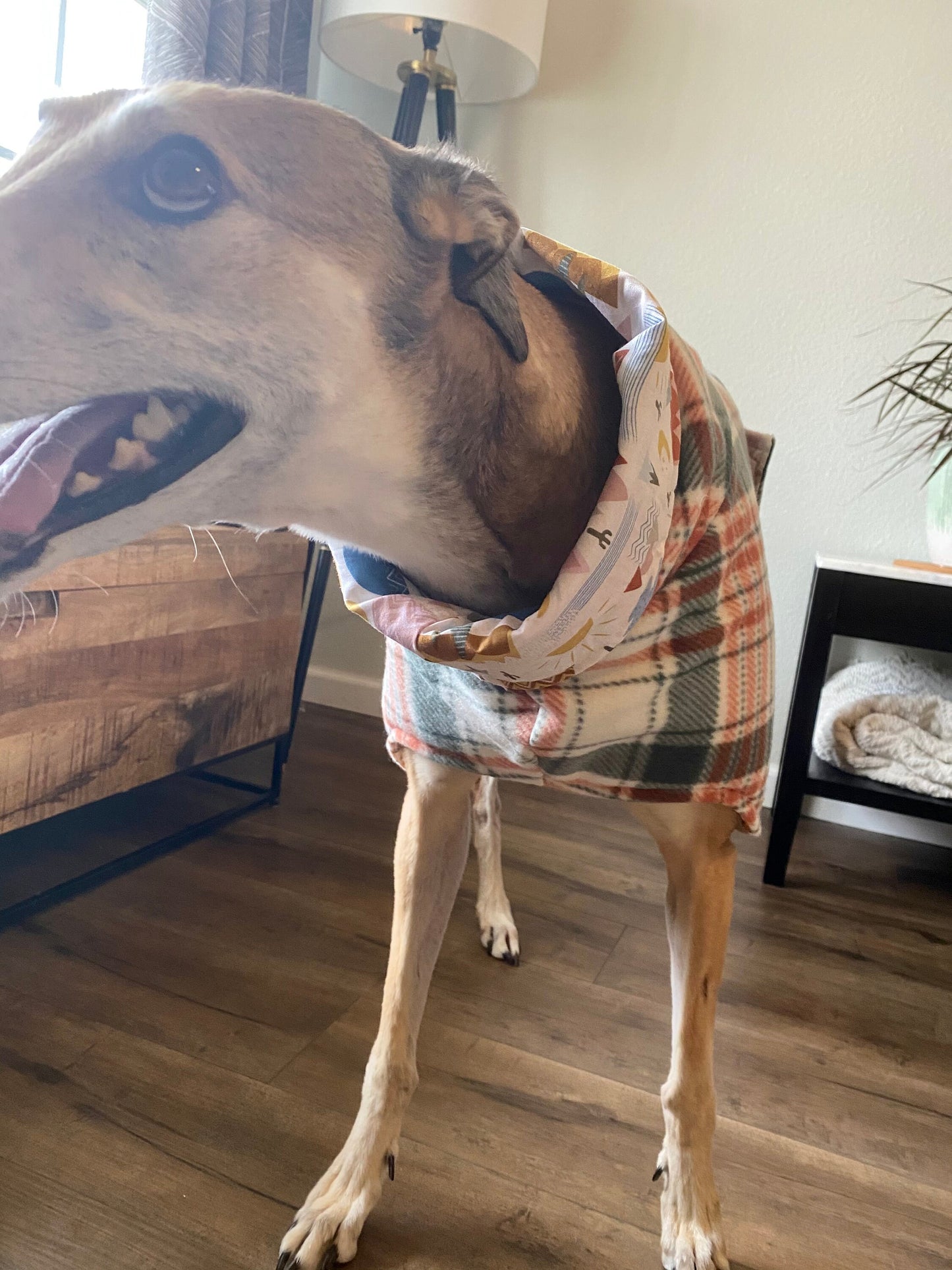 Greyhound Fleece Winter Coat | Orange and Green Plaid with Mountain Lining