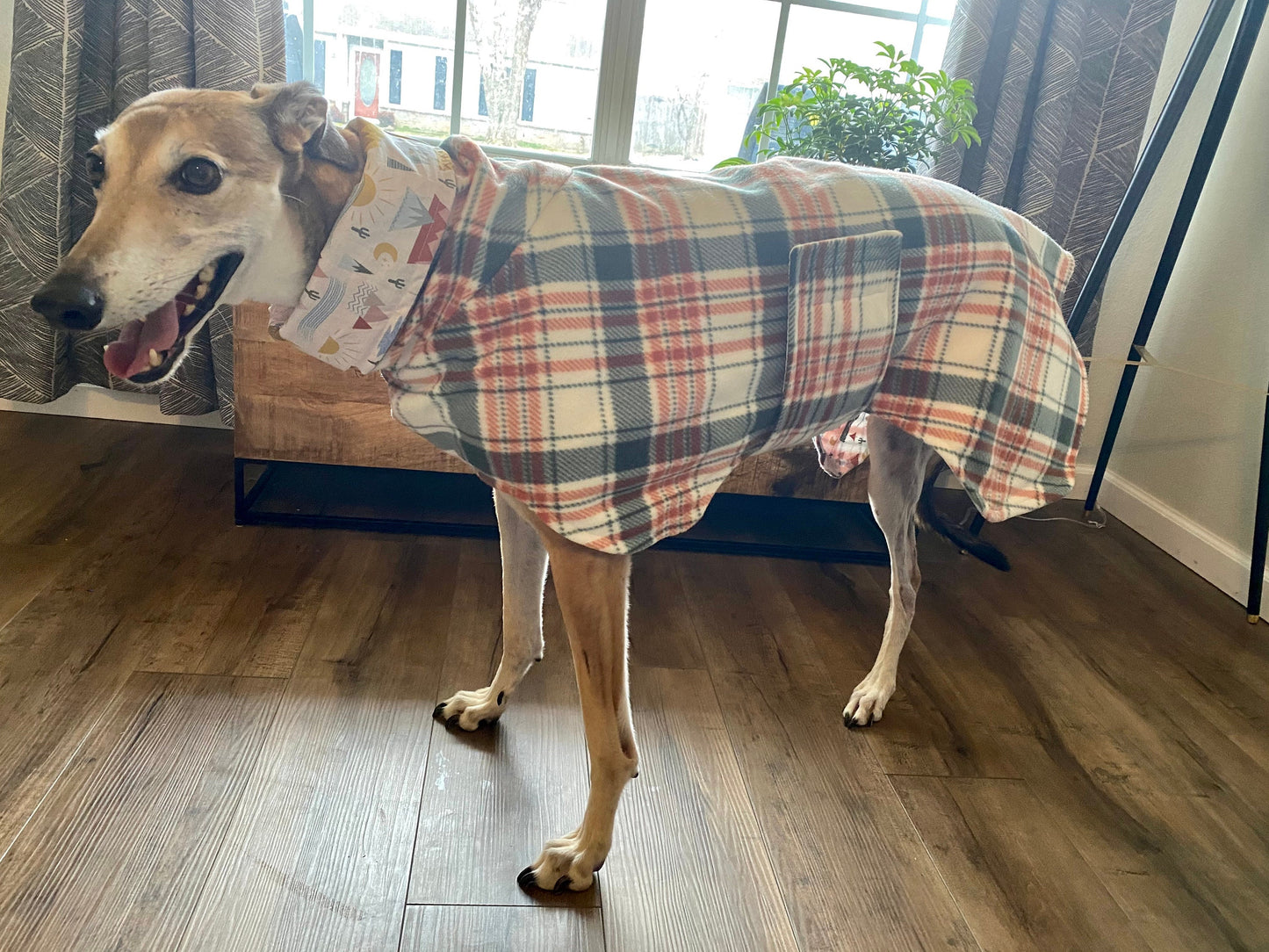 Greyhound Fleece Winter Coat | Orange and Green Plaid with Mountain Lining