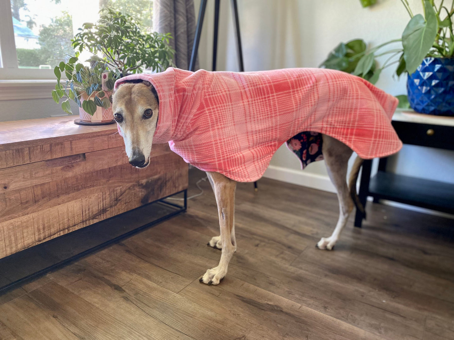 Greyhound Fleece Winter Coat | Pink with Navy Floral Lining