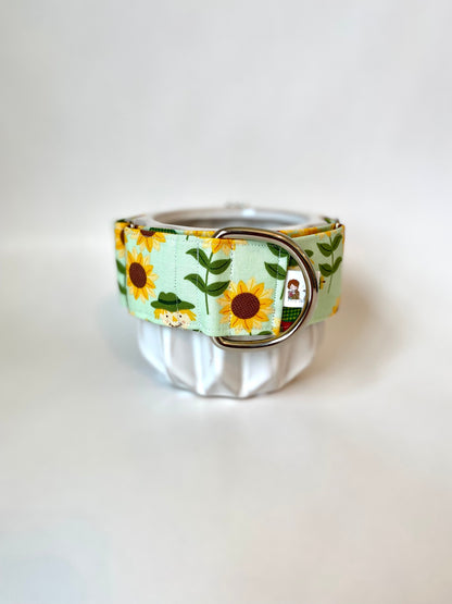 Martingale Collar | Sunflowers and Scarecrows