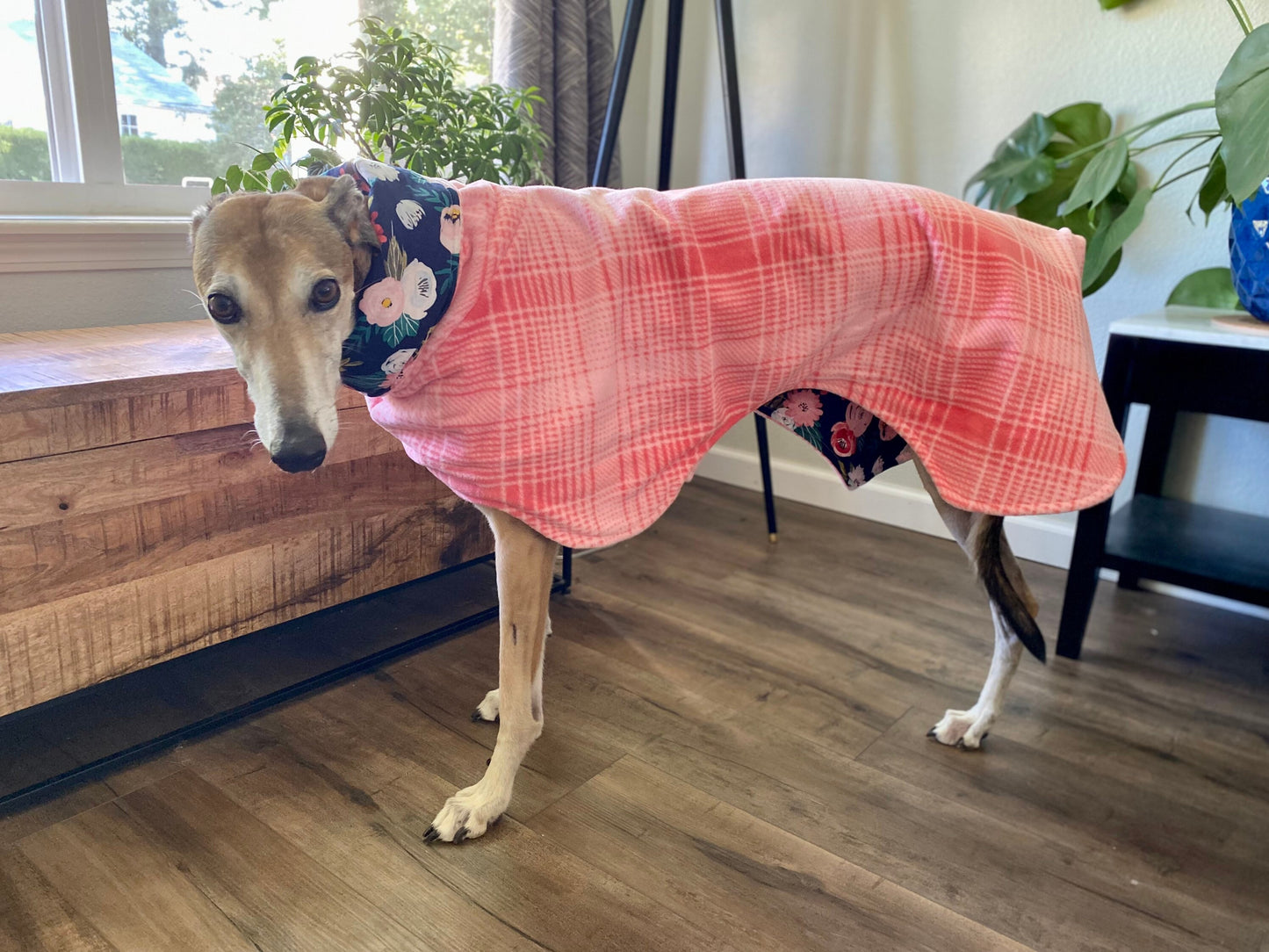 Greyhound Fleece Winter Coat | Pink with Navy Floral Lining