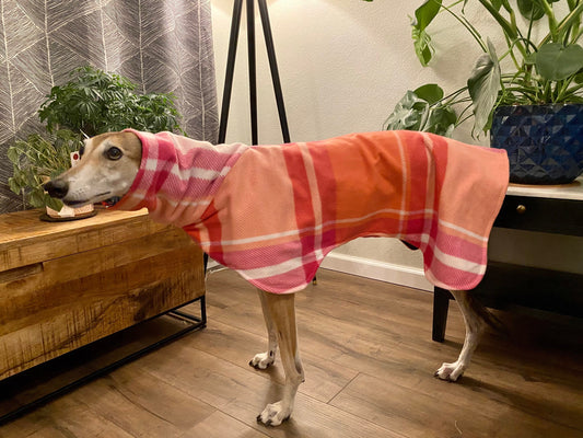 Greyhound Fleece Winter Coat| Pink and Orange Plaid with Green Fairy Forest Floral Lining