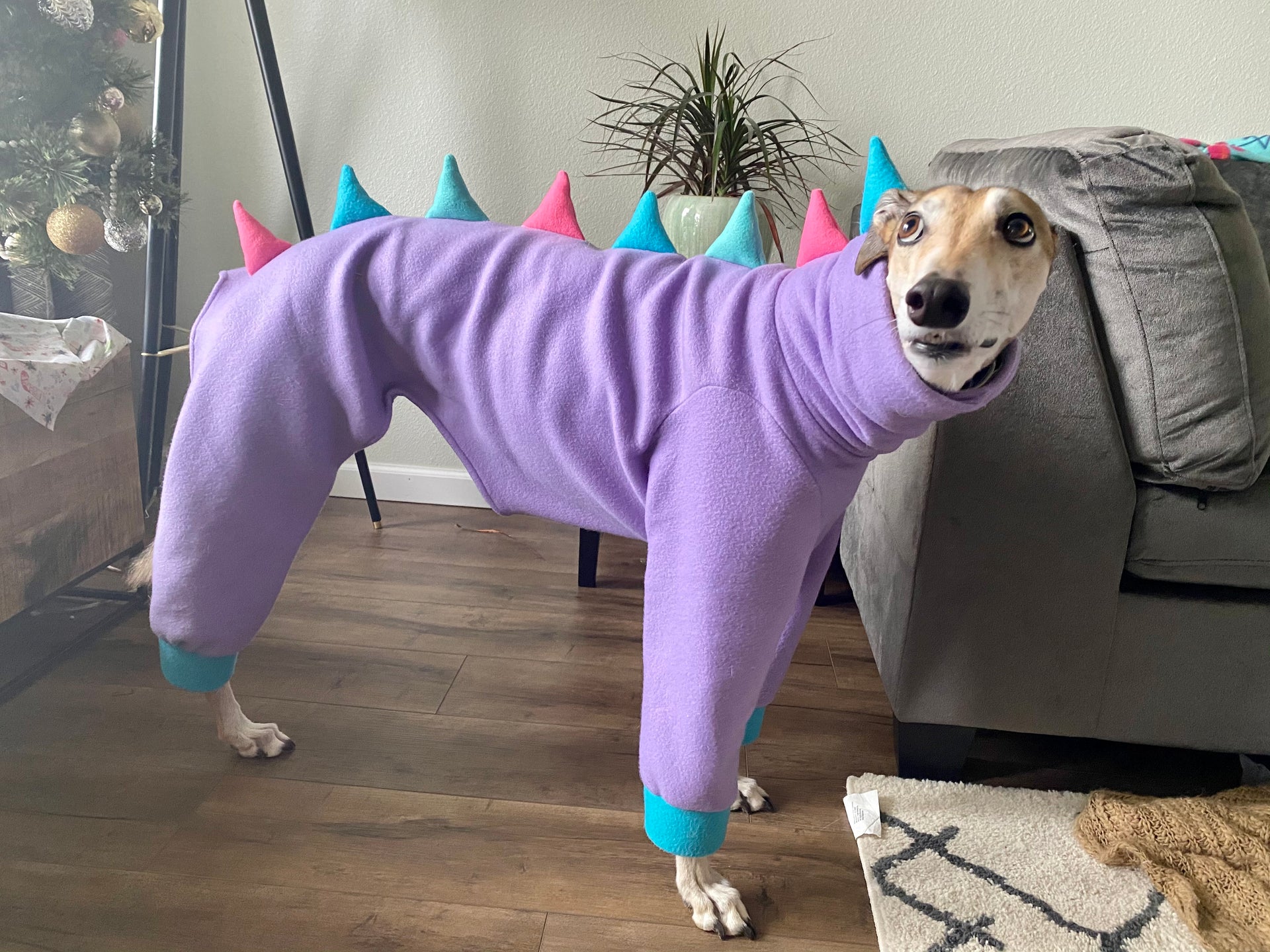 dino dog gear Made To Order | Fleece Pajamas | Dino Jammies