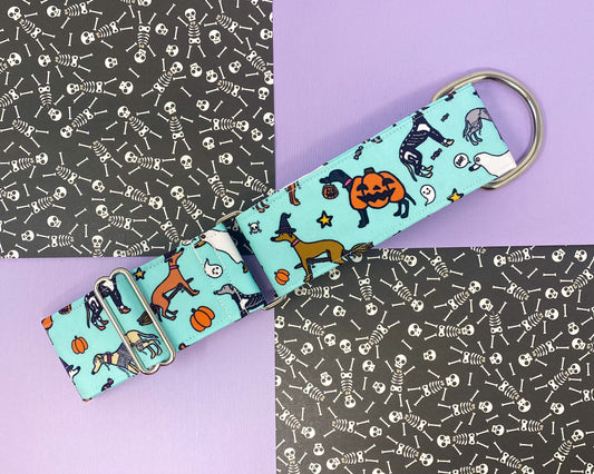 Martingale Collar | Spooky Houndies