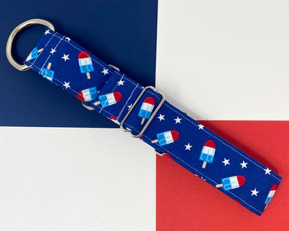 Martingale Collar | Fourth of July Popsicles